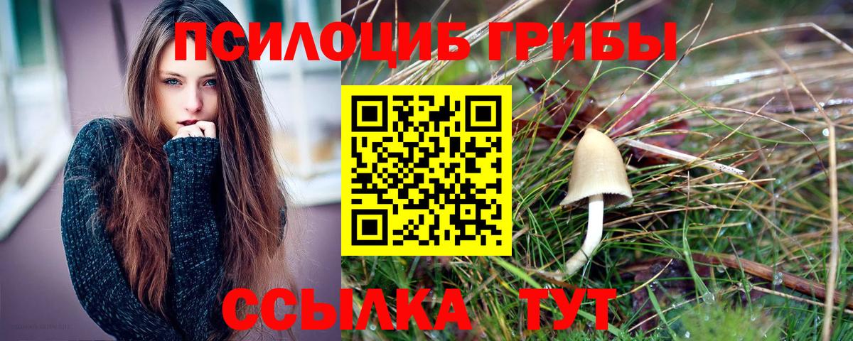 Мелеуз  Галлюциногенные грибы Psilocybe  Вход с VPN  Галлюциногенные грибы Magic Shrooms 